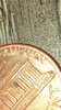 5606C56E-D483-4781-9A3A-BB5BF62EECA9.jpeg