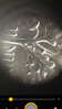 23841D80-D2E6-4DB2-9C0C-1704D5952C23.png