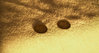 DSC00113-3.jpg