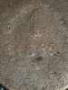 20181002_020935.jpg