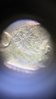 50D1E394-016A-4C33-A692-9E0CB85AC56B.png
