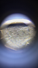 E266234F-AA2A-4D3F-9A6F-D3EA074CA6E5.png