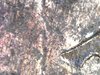 S20181003_0019.jpg