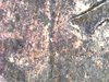 S20181003_0018.jpg