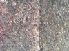S20181003_0016.jpg