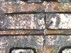S20181003_0010.jpg