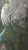 20181004_004129.jpg