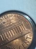 Picture_20181704111741.jpg