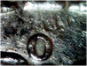 1855ObverseUpsideDownZoom.jpg