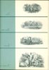 plate4.jpg