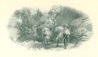 Ox cart.jpg