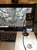 CBA51337-AB9E-4ED1-9D2D-F86D48908B8D.jpeg