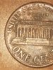 Picture_20183706093753.jpg