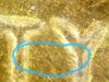 20181007_030056.jpg