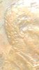 DB337818-A57D-4BE4-9535-EBF63D3E8149.jpeg