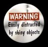 SHINY.jpeg