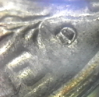 RPM Closeup.PNG