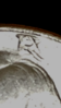 53F9CF18-DEF4-4C0A-B54D-D3941198441D.png