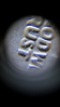 1390359F-A5EB-4DAC-B462-D778940354DA.png