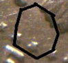 Crop 5.jpg