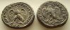 tetradrachmai_gallus_rev_02.jpg