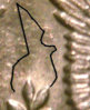 CointalkRevBB.jpg