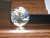 DSCF0449.jpg