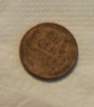 back nofl copy.jpg
