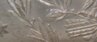 TailDetail2.jpg