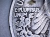 1946 feathers.jpg