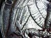 WIN_20181106_03_41_18_Pro.jpg