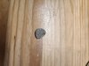 IMG_20181106_195204.jpg