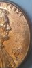 IMG_20181108_091332786~2.jpg
