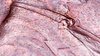S20181109_0016.jpg