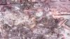 S20181109_0023.jpg