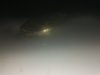 20181114_165942.jpg