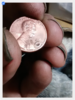 Screenshot_2018-11-14 New photo by Mark Fickas.png