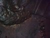 WIN_20181120_02_57_00_Pro.jpg