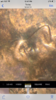 C880FDC2-11C8-47FA-8564-5F6BD9DD2715.png