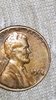 IMG_20181126_174344.jpg