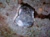 DSCN3326.JPG