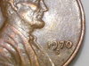 RSCN9341.JPG