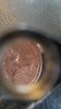 20181205_083351.jpg