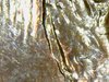 Sun Dec 09 07-23-09.jpg