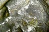 Photo on 10-27-18 at 8.03 AM.jpg