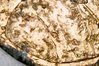 Photo on 10-22-18 at 8.54 PM.jpg