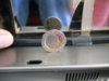 DSCN0850.JPG