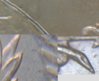 FinalDetail3.jpg