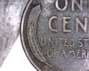 4736470145_5146ed6cd0_m.jpg