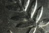1892-P Half PCGS 58 Close Up 5.jpg